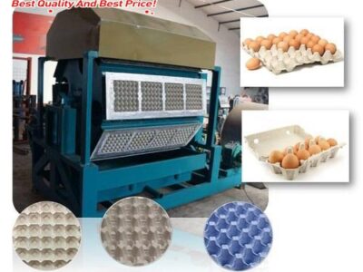 Egg tray machine | Pulp/Plastic Egg Crate Making Machine For Sale